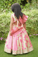 Girls Dresses (Lehenga Choli Back )