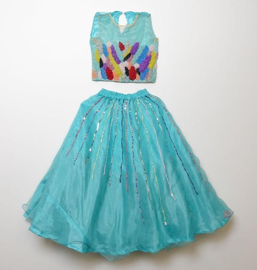 Beaded Top and lehenga