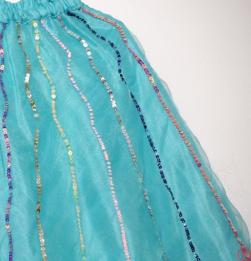 Beaded Top and lehenga