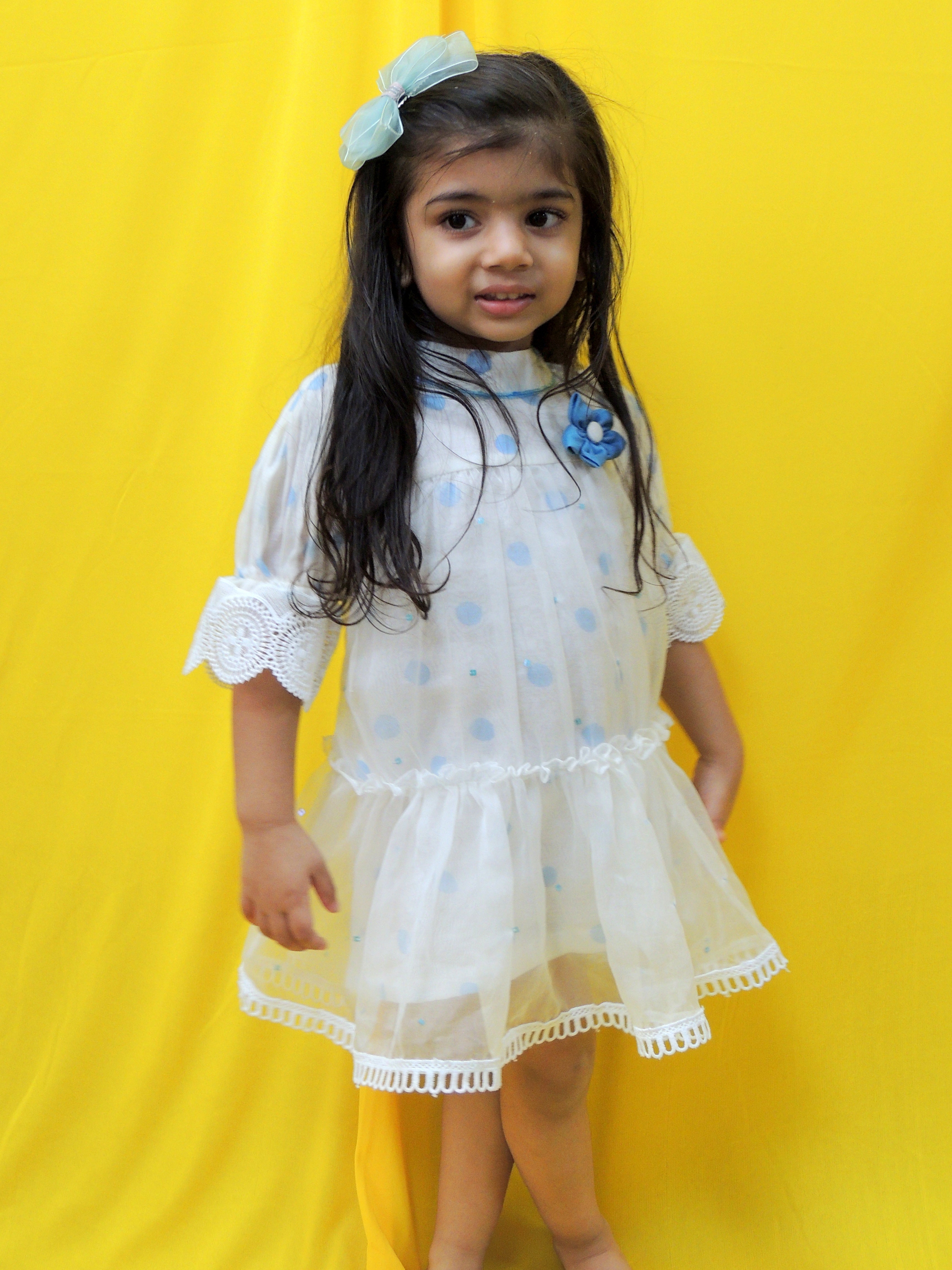 Organza and off white blue handblock printed polka Dress