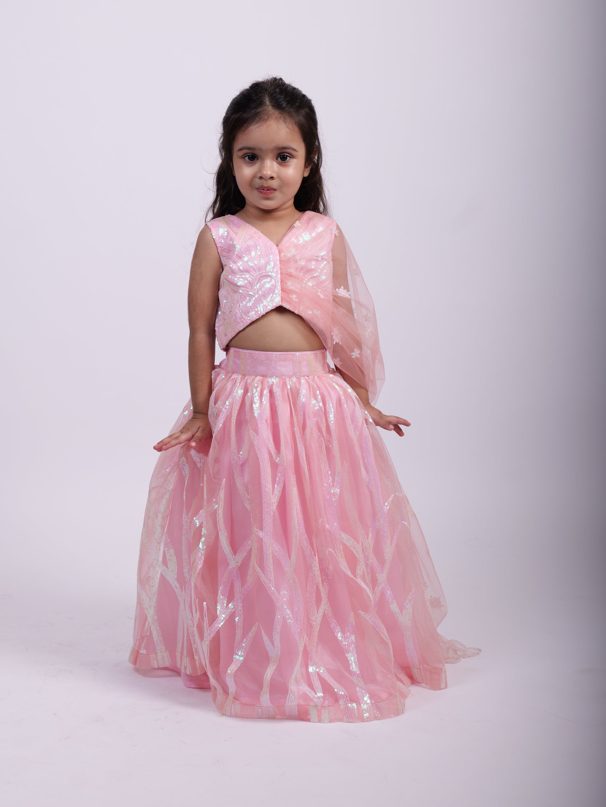 Pink Net Embroidered Lehenga With Crop Top