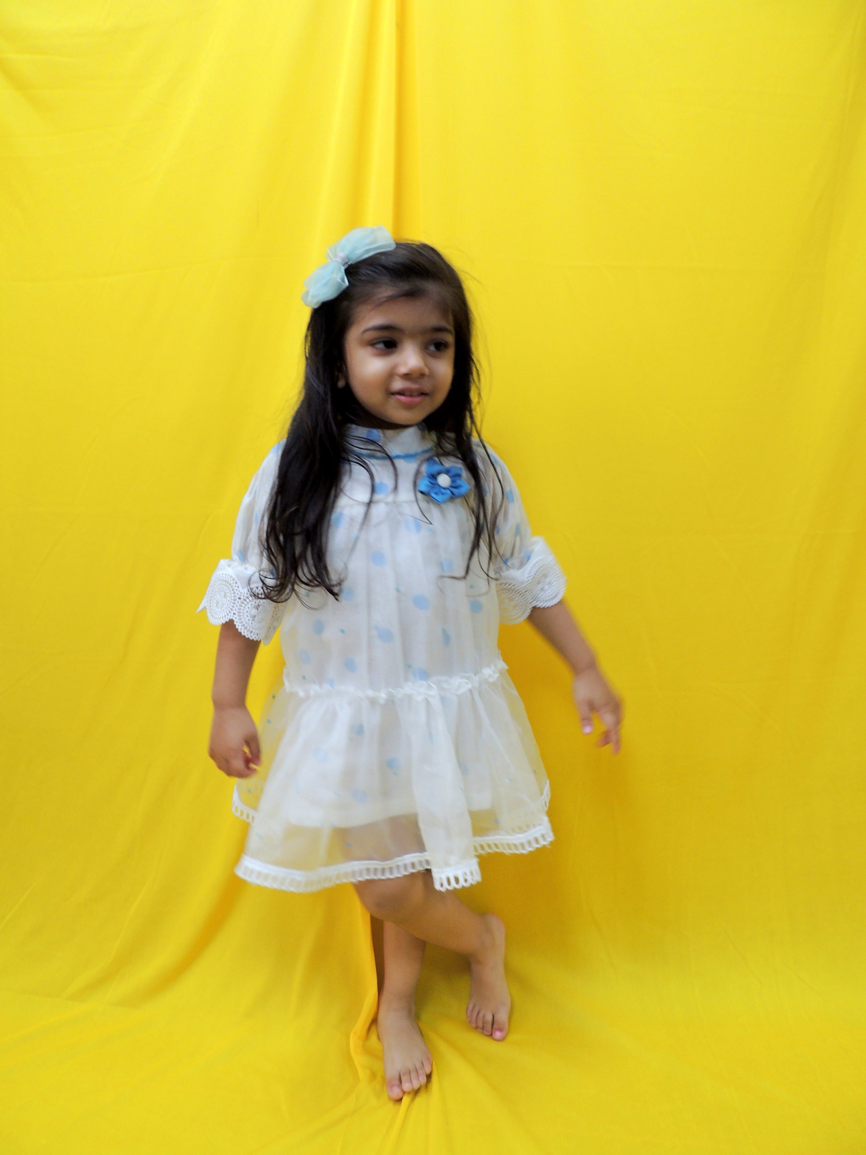 Organza and off white blue handblock printed polka Dress
