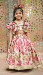 Girls Dresses (lehenga Choli)