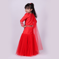 red  Silk Lehenga Choli with dupatta
