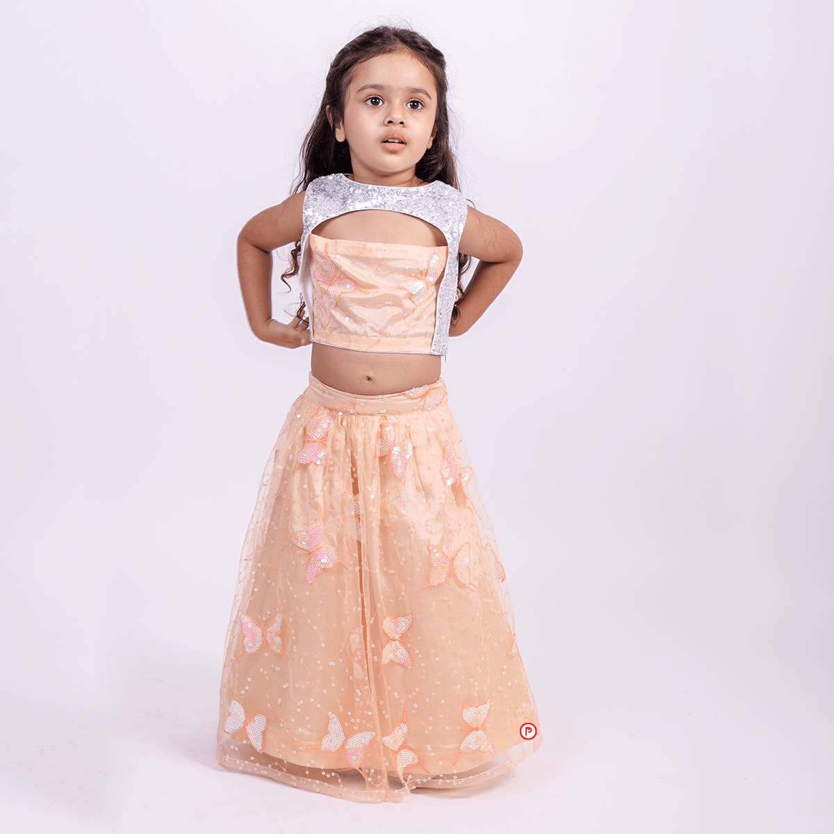 peach butterfly  Lehenga with designer neck