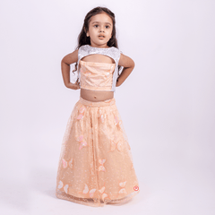 peach butterfly  Lehenga with designer neck