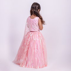 Pink Embroidered Lehenga With attached dupatta