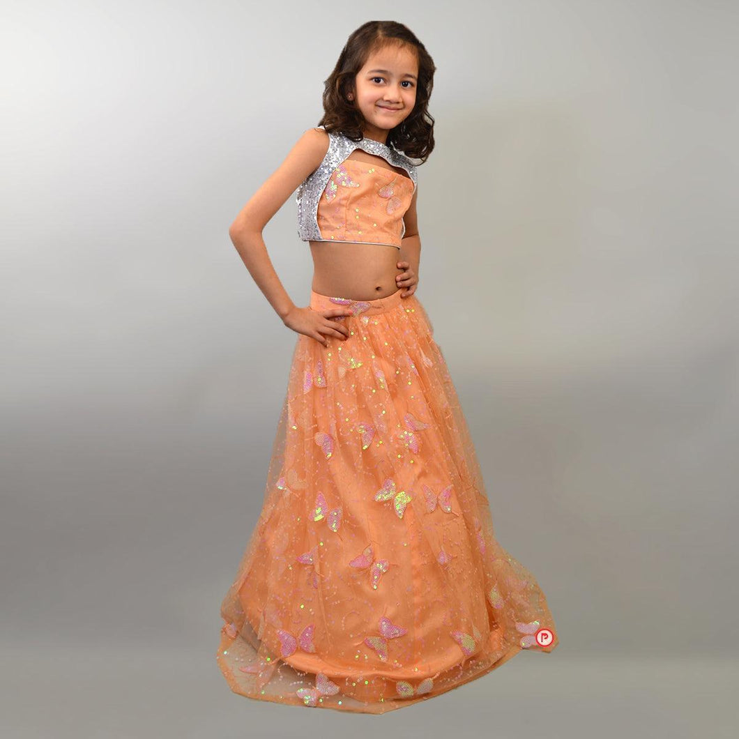 Butterfly Sequins Work Lehenga with Blouse