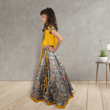Load image into Gallery viewer, fashionable lehnga choli I designer lehenga choli I occasion wear for kids
