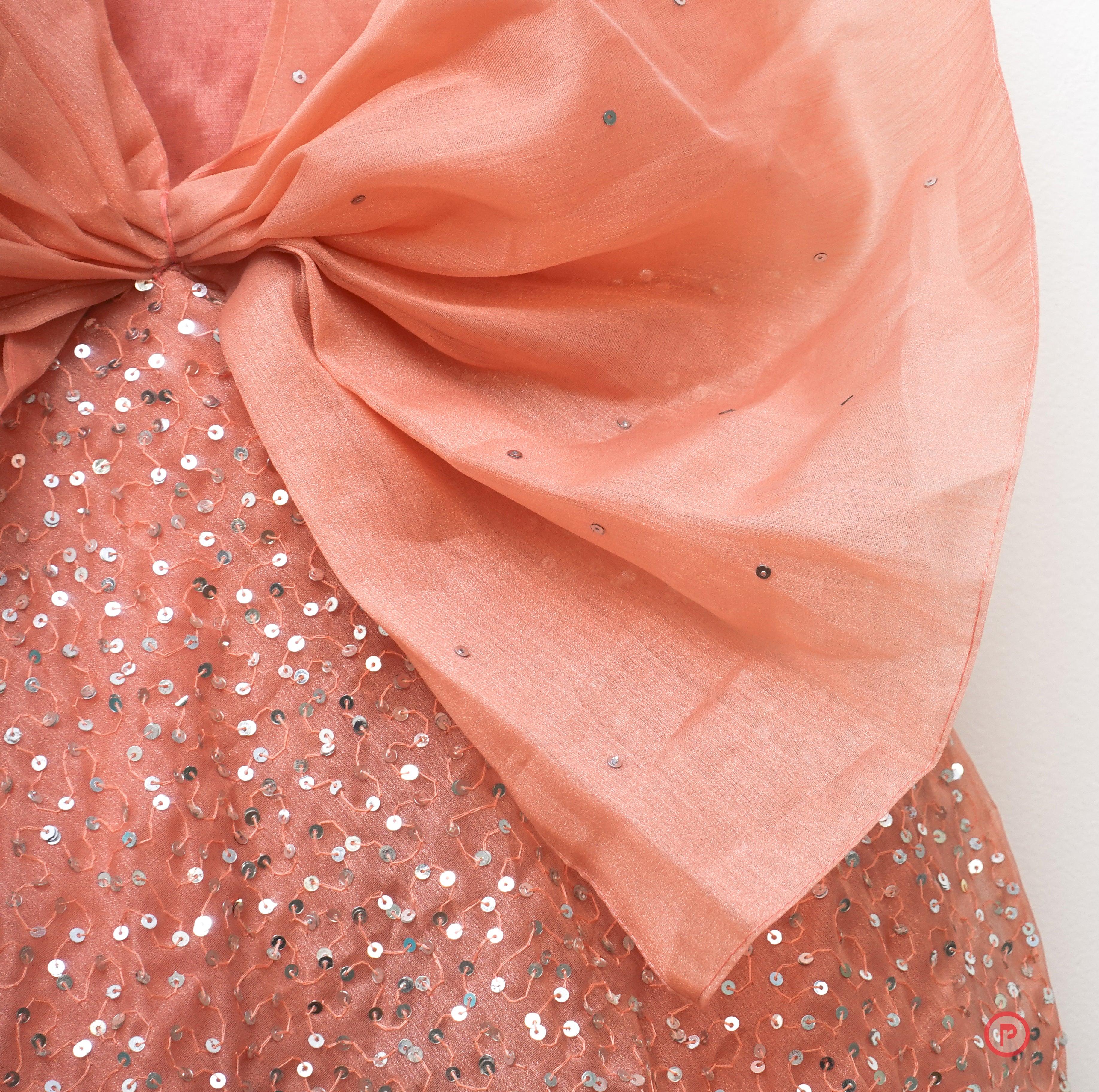 Princess frock with hand embroidered veil - Picco Ricco 