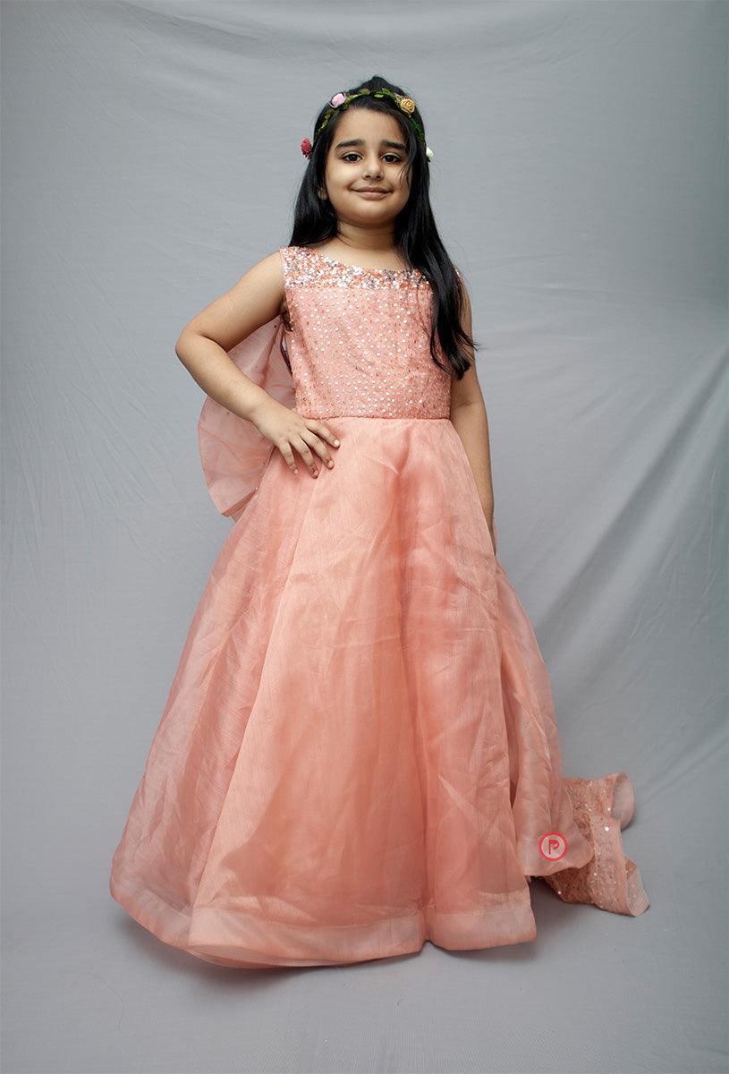 Partywear Organza Gown For Girls