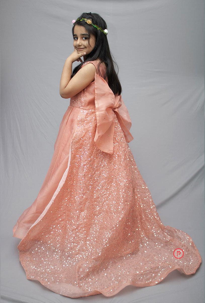 Princess frock with hand embroidered veil - Picco Ricco 